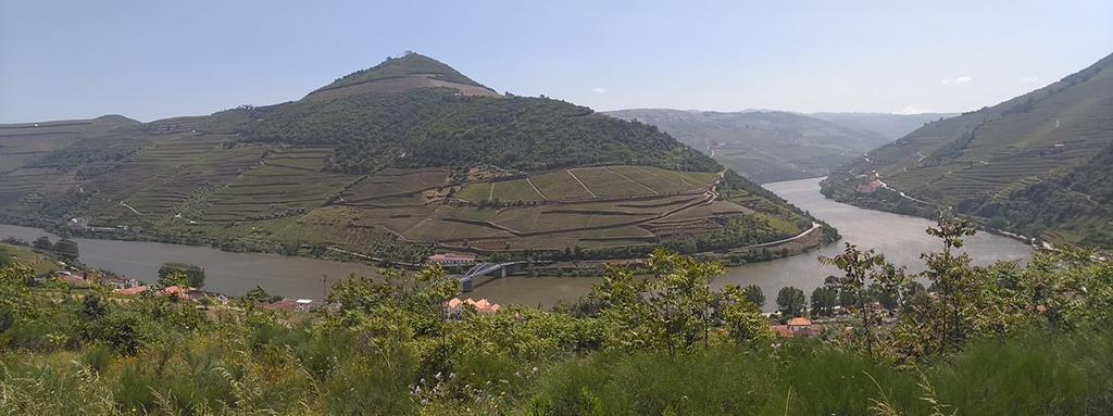 הוילה Pinhão Quinta Da Galeira מראה חיצוני תמונה