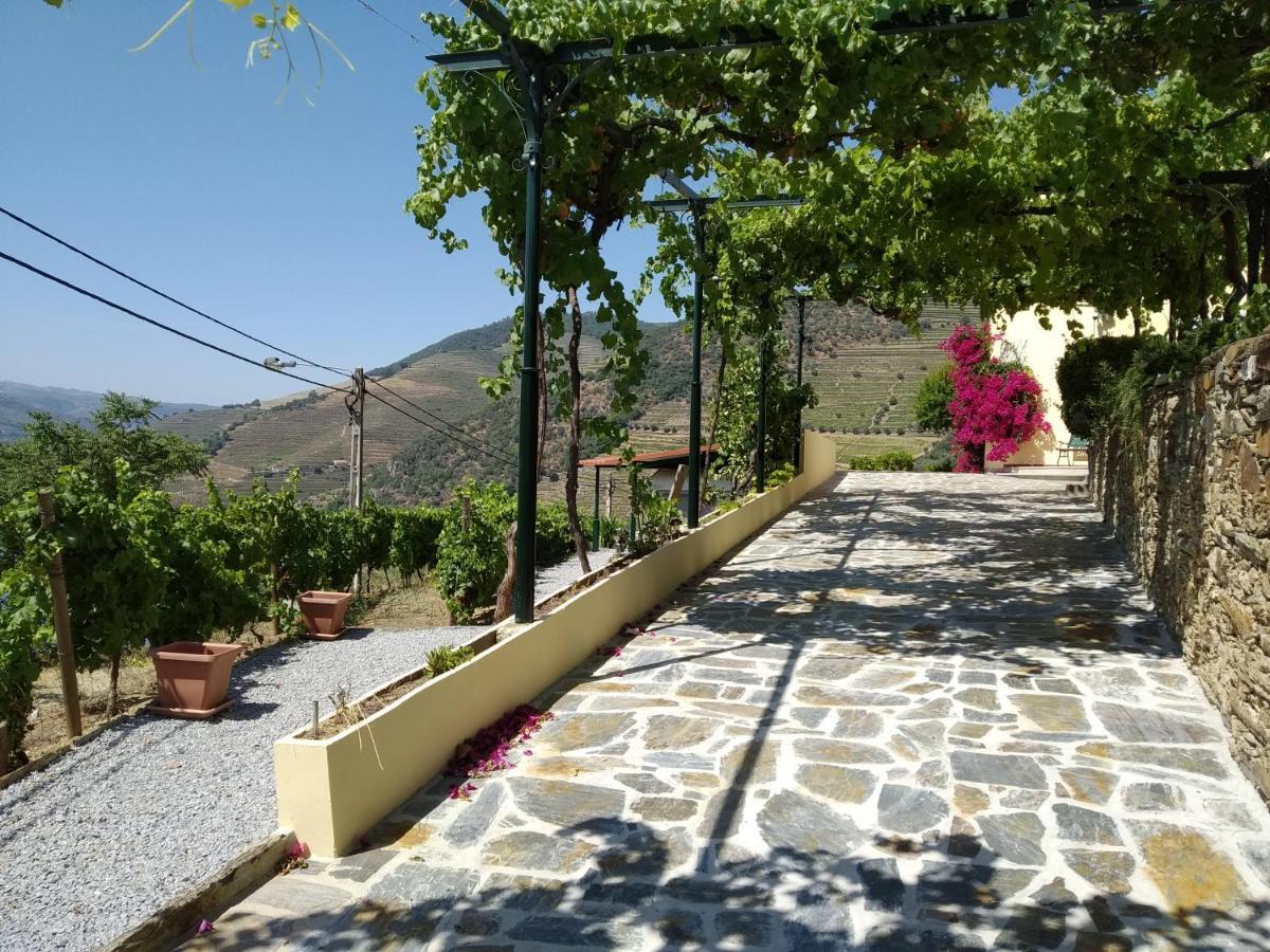 הוילה Pinhão Quinta Da Galeira מראה חיצוני תמונה